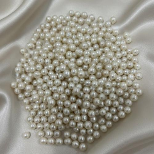 Khám Phá Những Điều Thú Vị Về Ngọc Trai Akoya