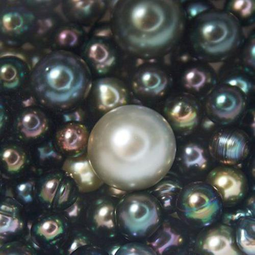 Tìm Hiểu Ngọc Trai Tahiti