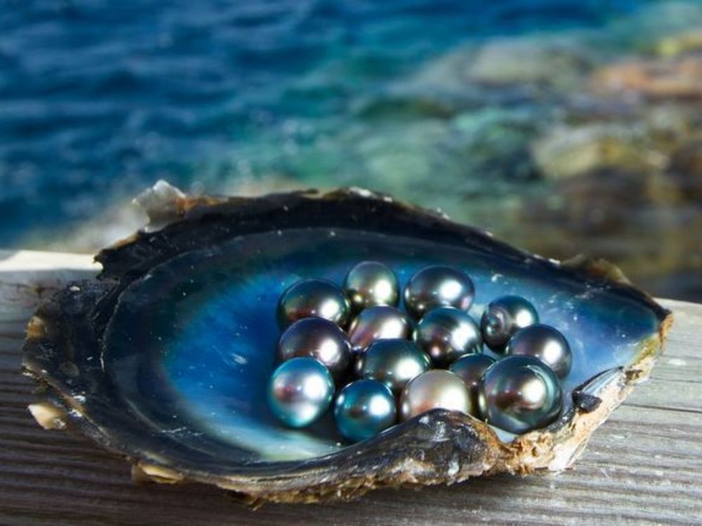 Đặc tính tự nhiên của ngọc trai Tahiti có ảnh hưởng đến độ bền không?