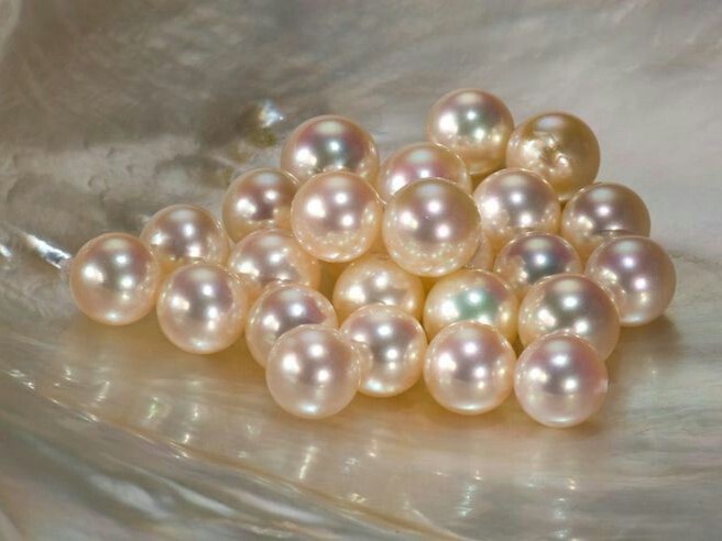 Ngọc trai nuôi là gì