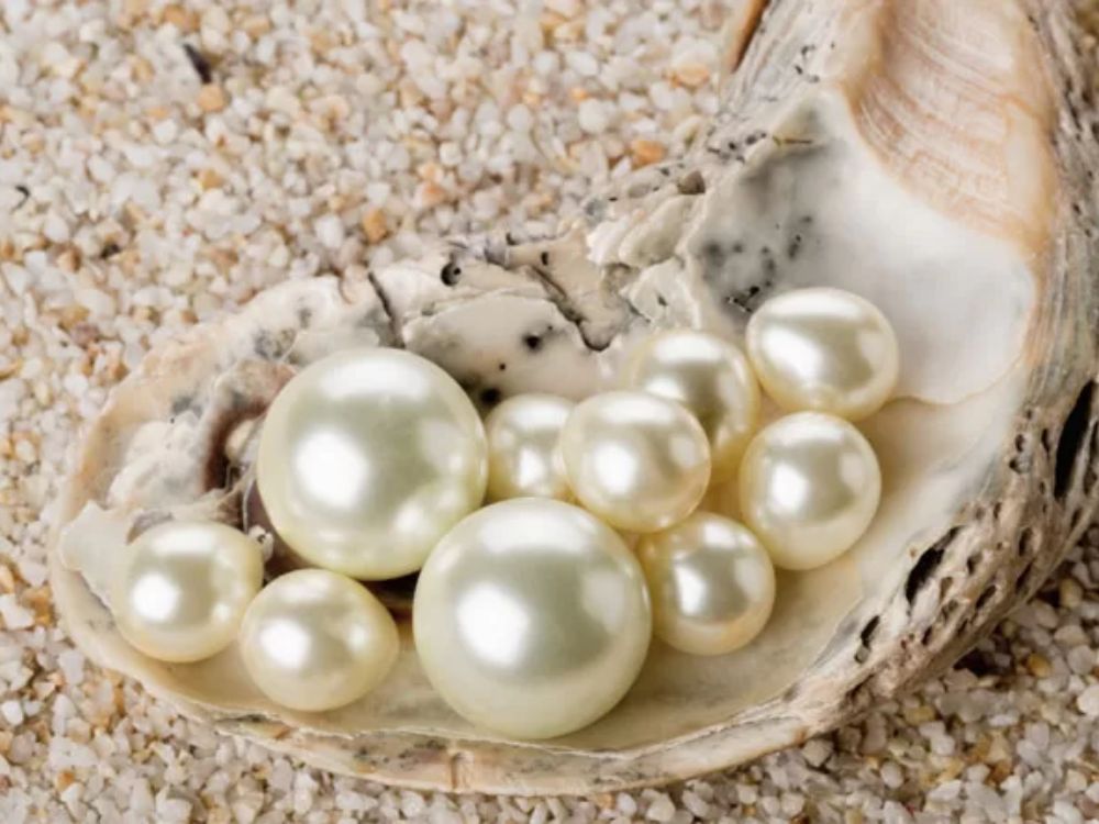 Nguồn gốc, kích thước và màu sắc: Akoya khác gì so với South Sea?