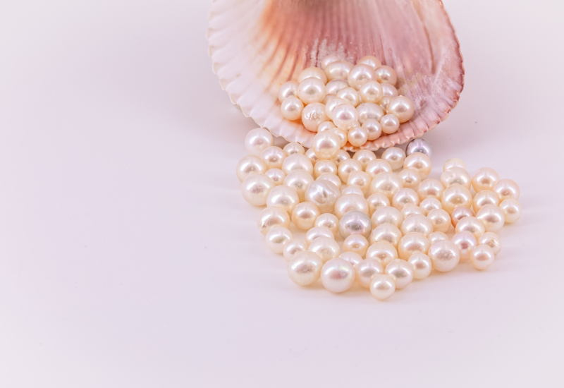 Giới thiệu về Ngọc Trai Akoya