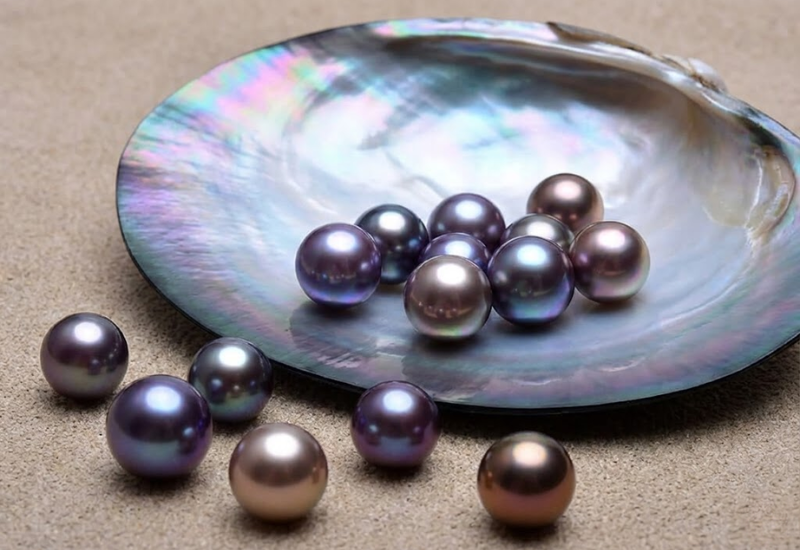 Bước 3: Thu hoạch và Tuyển chọn (Harvesting & Selection)