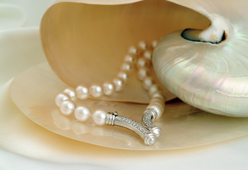 Quà tặng tri ân và biếu tặng trang trọng