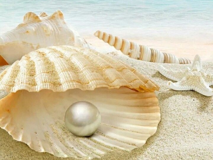 Nguồn gốc hình thành của ngọc trai