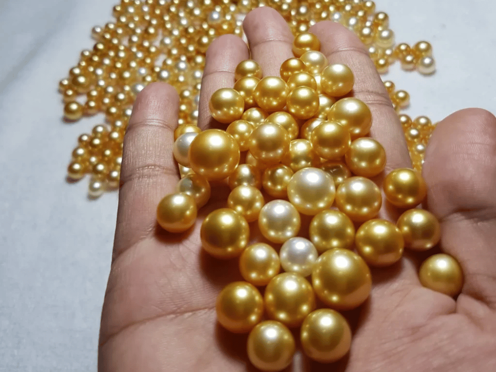 Độ dày lớp sà cừ ấn tượng – Bảo chứng cho độ bền vượt thời gian