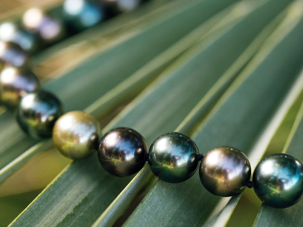 Ngọc trai Tahiti đen có đáng đầu tư? so sánh với các loại ngọc trai khác