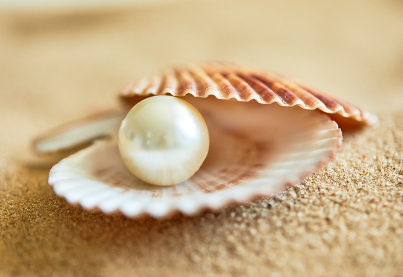 Hình dáng và sự hài hòa quan trọng hơn "to hay nhỏ"