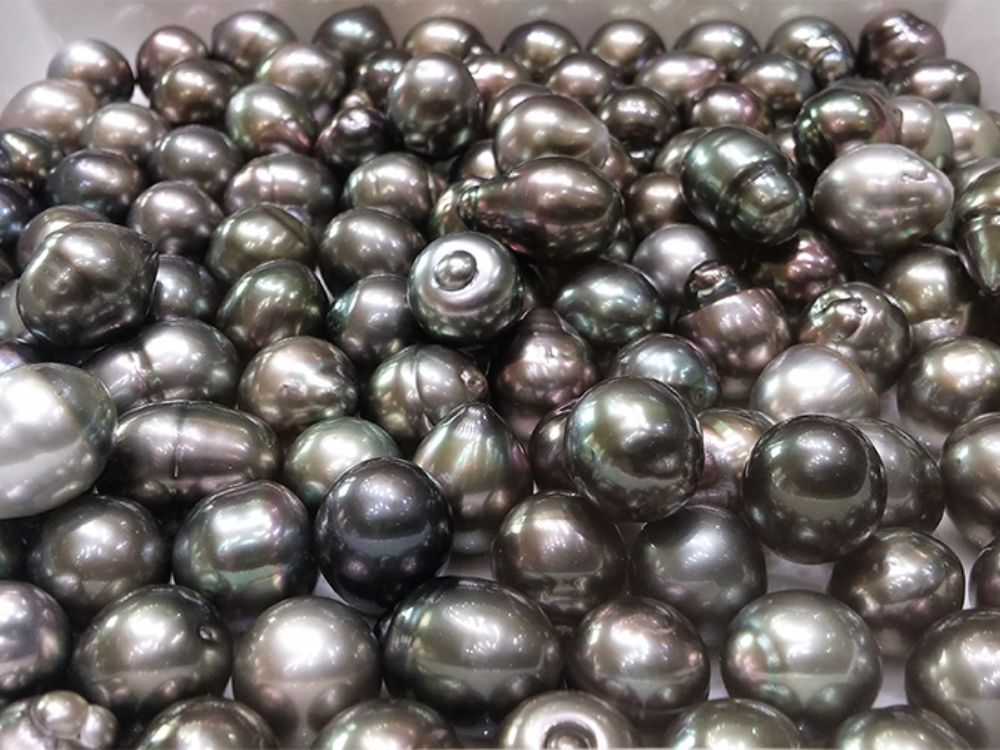 Bảng sắc màu huyền bí tạo nên giá trị độc bản