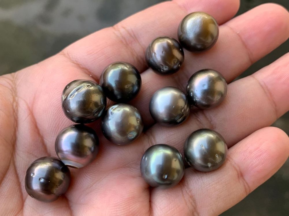 Nguồn gốc ngọc trai Tahiti đen – vì sao chỉ một số ít vùng biển có thể nuôi cấy?