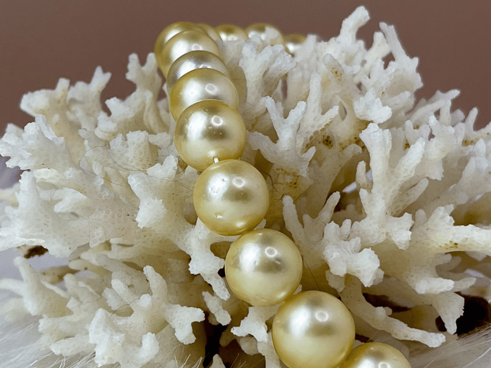 Ánh xà cừ (Luster) mềm mại, sâu lắng và độc đáo