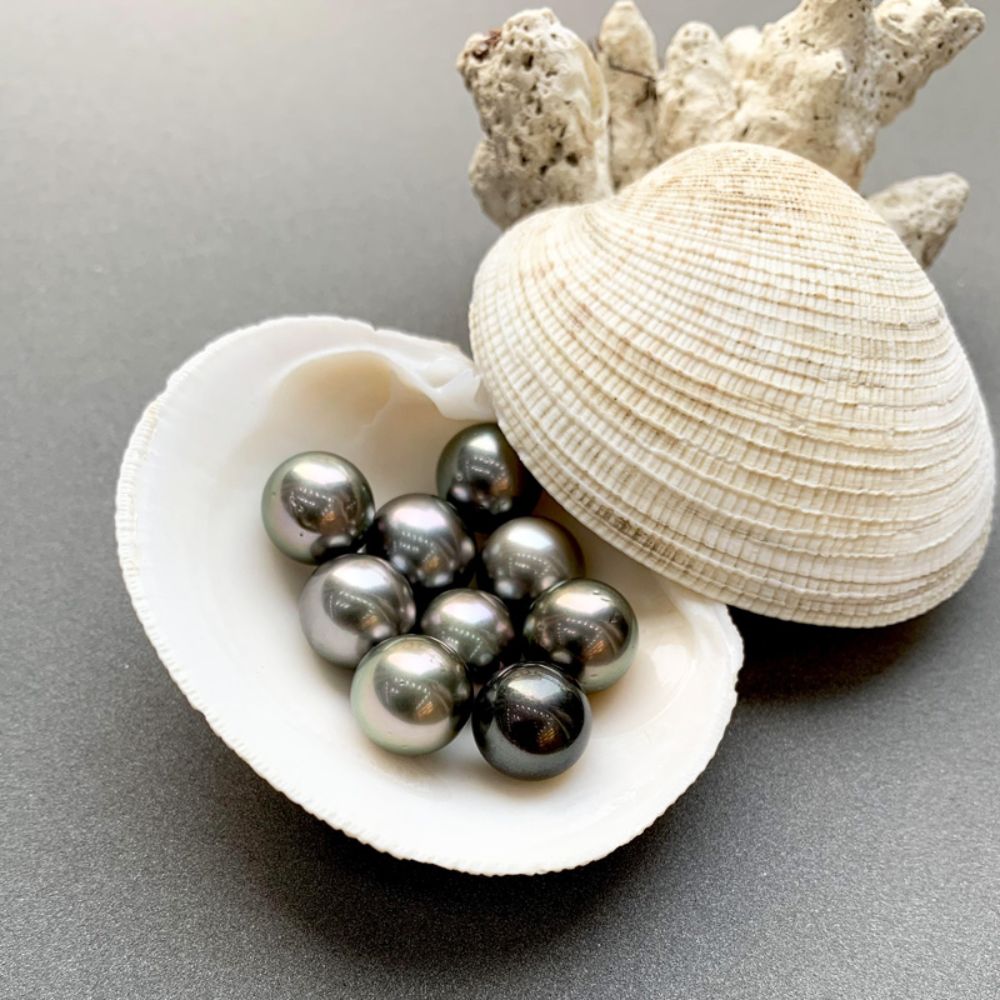 Quá Trình Hình Thành Một Viên Ngọc Trai South Sea Mất Bao Lâu?