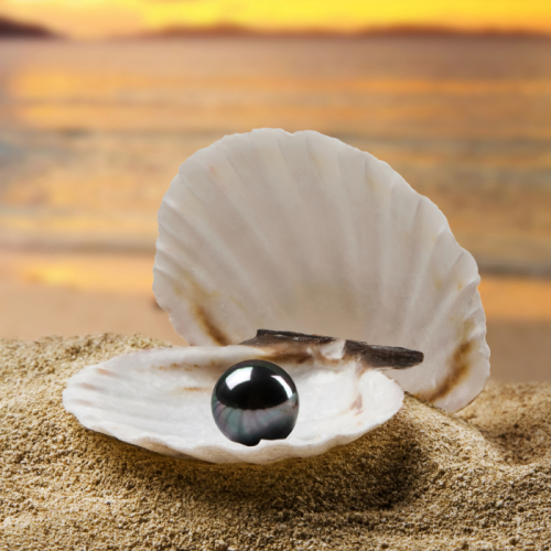 Vì Sao Ngọc Trai Luôn Giữ Được Giá Trị Theo Thời Gian?