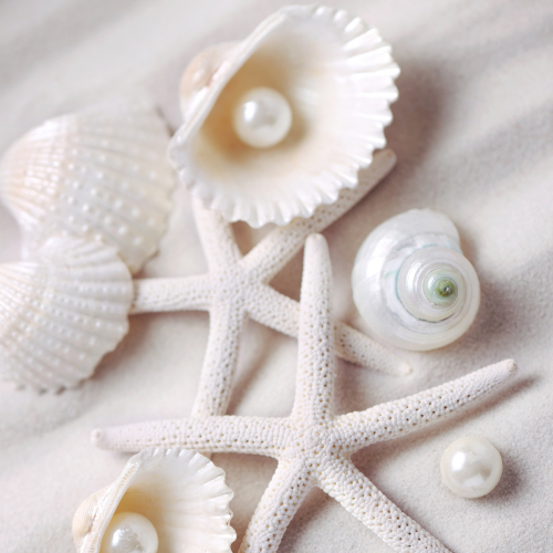 Ngọc Trại Món Quà Kỳ Diệu Từ Biể Cả