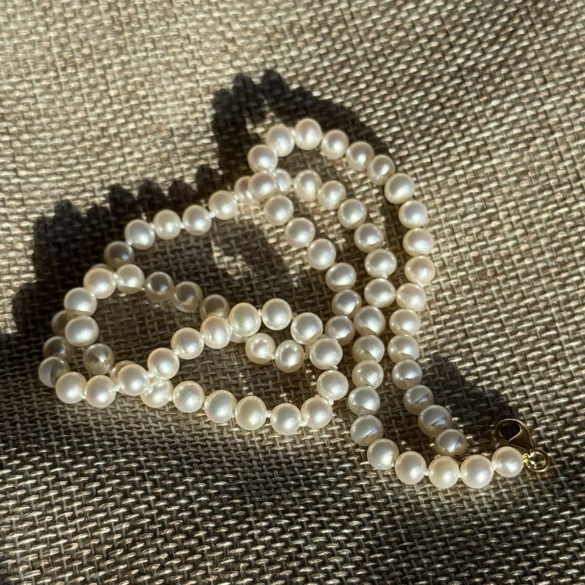 Ngọc Trai Có Sợ Nước Không?