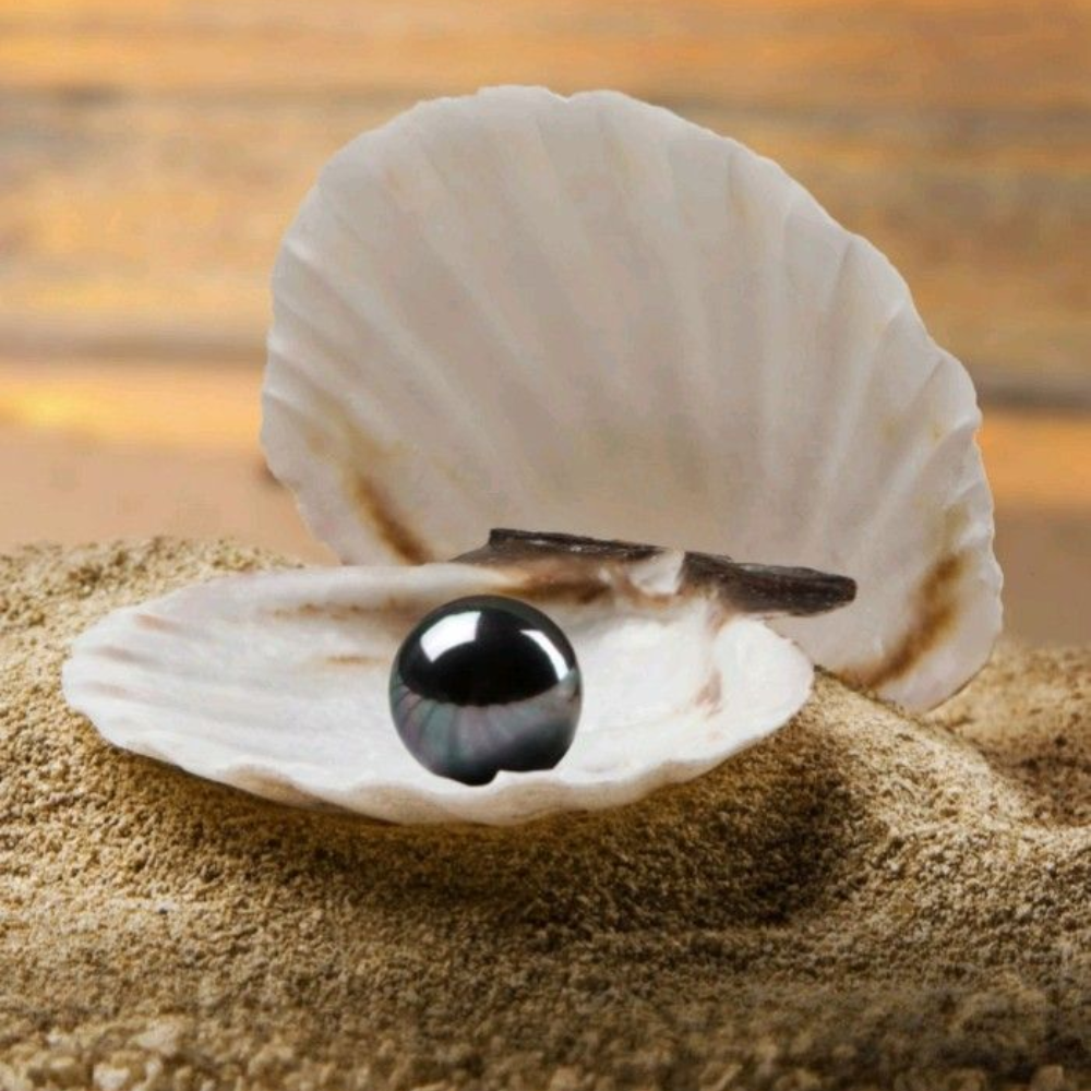 Ngọc Trai Ở Trong Cơ Thể Trai Càng Lâu Càng Quý – Điều Này Có Đúng Không?