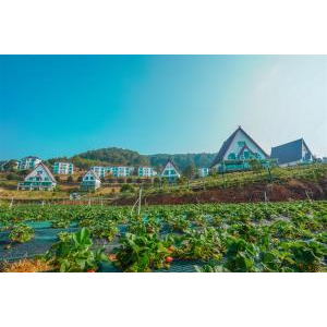 Dalat Wonder Resort