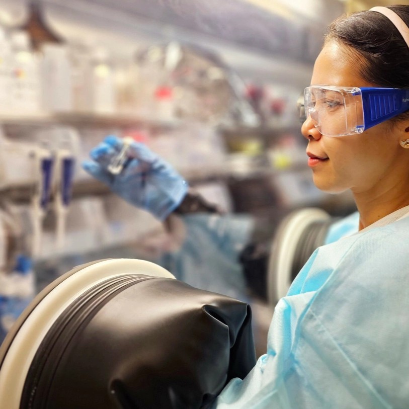 Nhà Khoa Học Việt Dùng Trấu Chế Tạo Pin Sạc