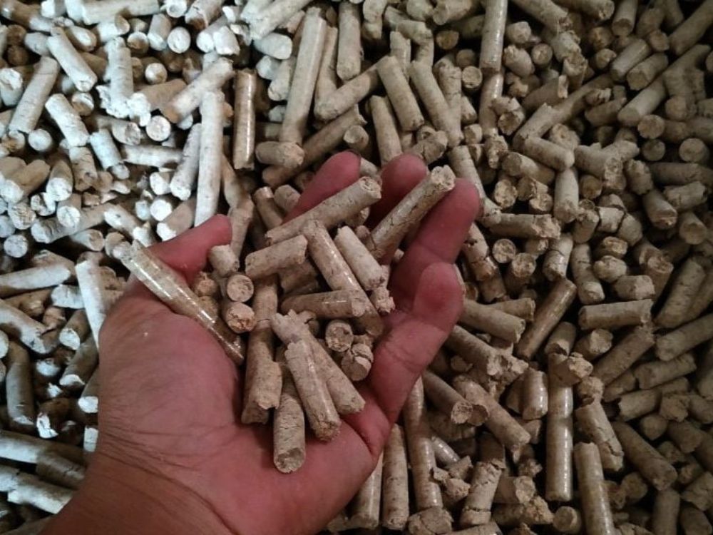 Giải pháp nhiên liệu sinh khối ổn định cho mô hình sản xuất 24/7