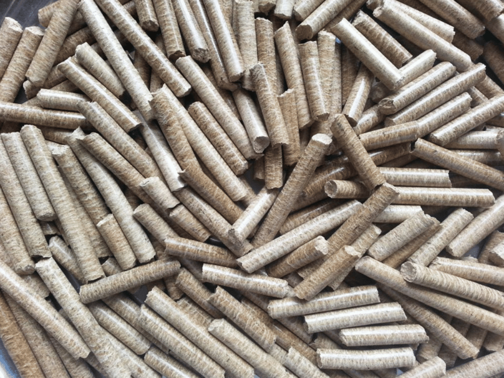 Tác động môi trường