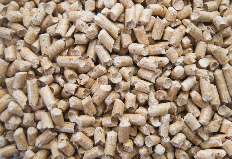 Tối ưu chi phí năng lượng và chủ động nguồn cung