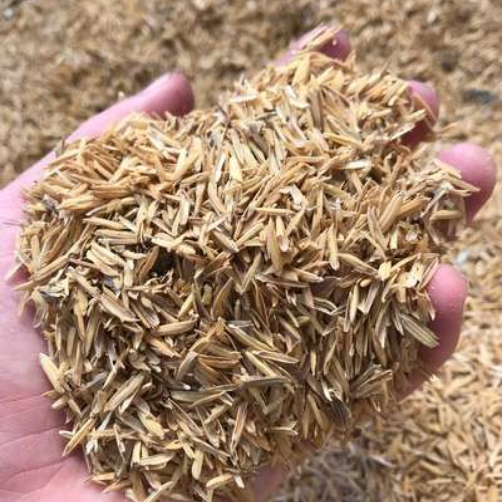 Một Số Tác Dụng Của Vỏ Trấu Trong Trồng Cây