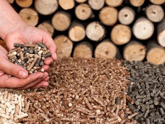 Hỗ trợ doanh nghiệp đáp ứng tiêu chuẩn môi trường