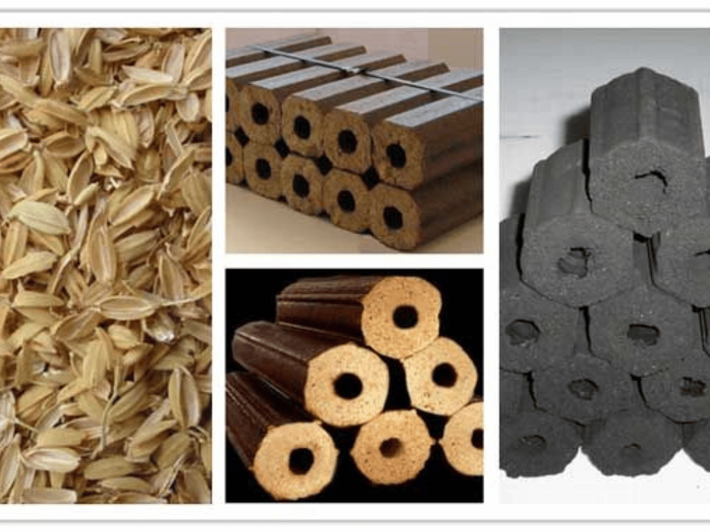 Góp phần bảo vệ rừng và hệ sinh thái tự nhiên