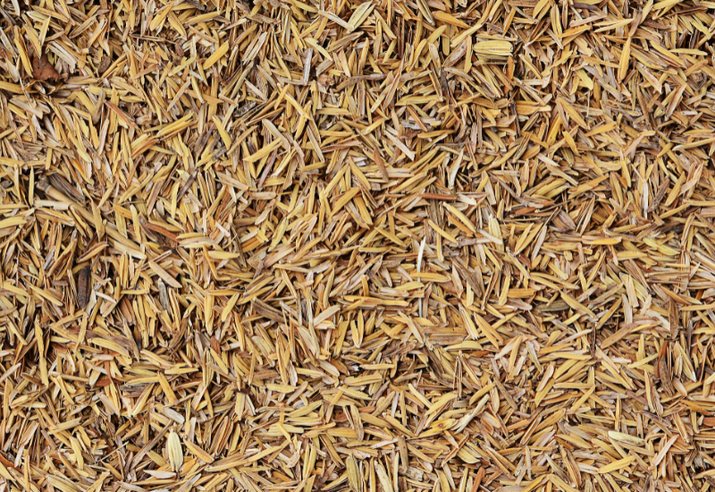 Tận dụng phụ phẩm nông nghiệp, giảm lãng phí tài nguyên