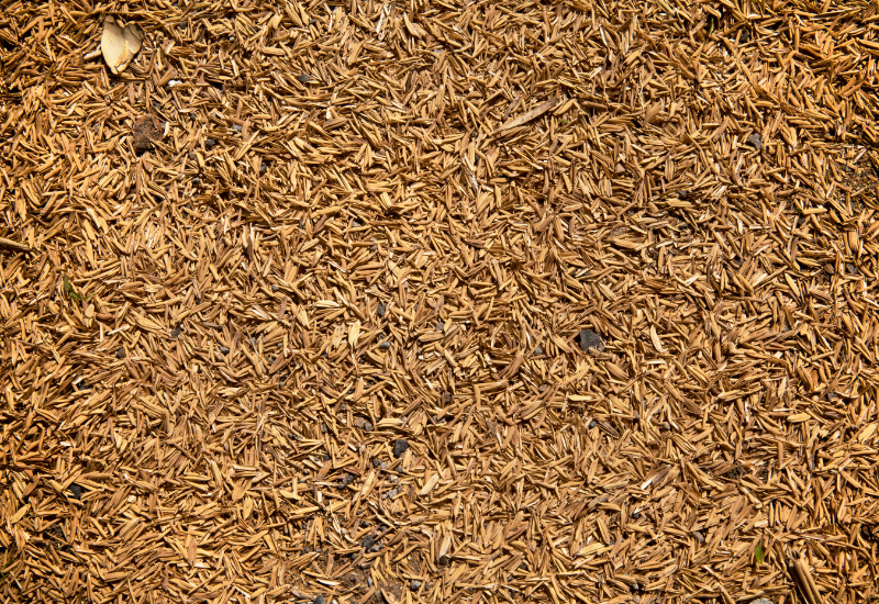 Giảm phát thải và tác động tích cực đến môi trường