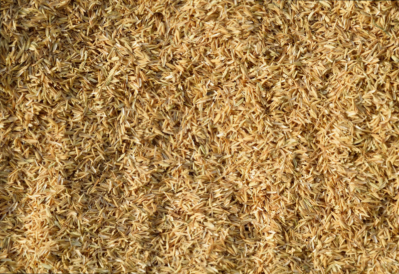 Phù hợp với định hướng phát triển bền vững của doanh nghiệp