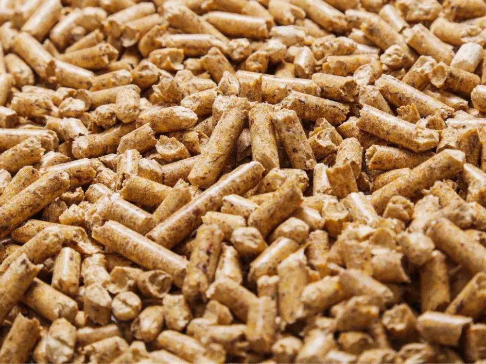 Hiệu quả kinh tế cao, thân thiện với môi trường