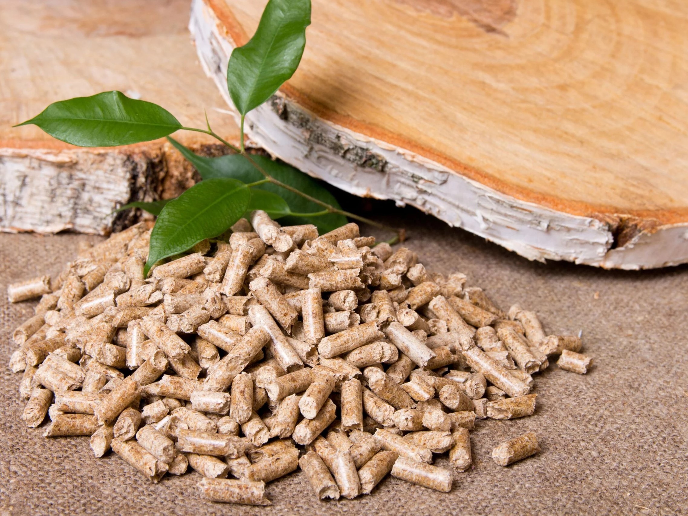 Lợi thế tự nhiên về nguồn tài nguyên