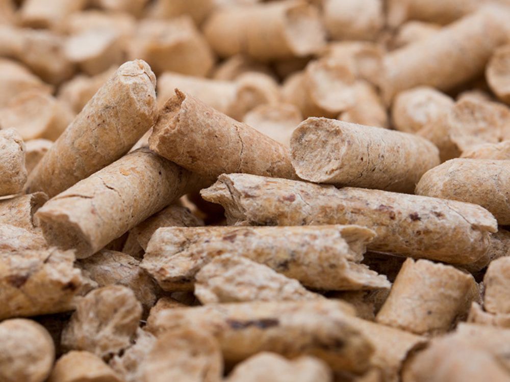 Tận dụng nguồn phụ phẩm dồi dào, hướng tới phát triển bền vững