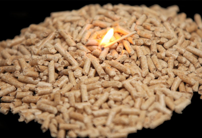 Phù hợp với xu hướng phát triển bền vững và kinh tế tuần hoàn