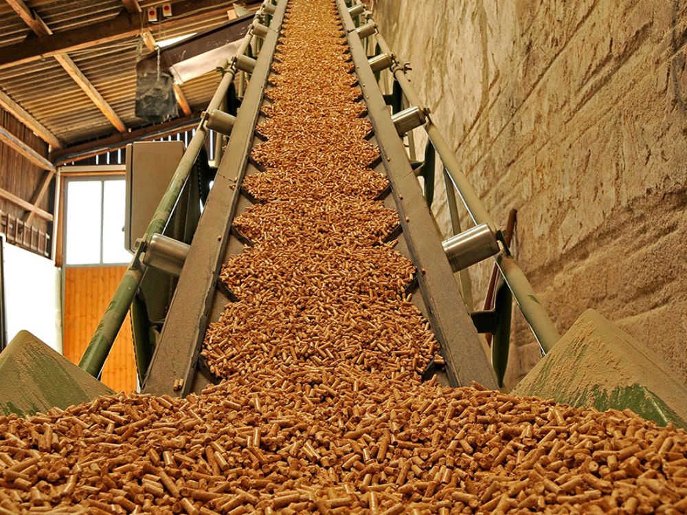 Điều kiện và giải pháp để trấu viên vận hành hiệu quả trong lò hơi công suất lớn