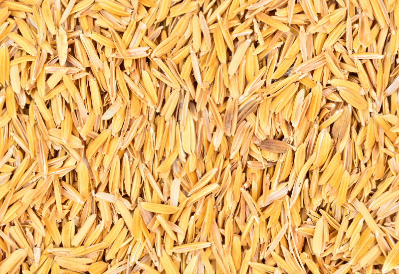 Chọn trấu cho mục đích cải tạo đất và trồng trọt