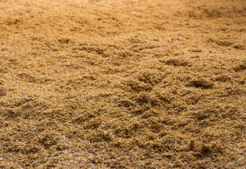 Chọn trấu cho sản xuất phân bón và nông nghiệp hữu cơ