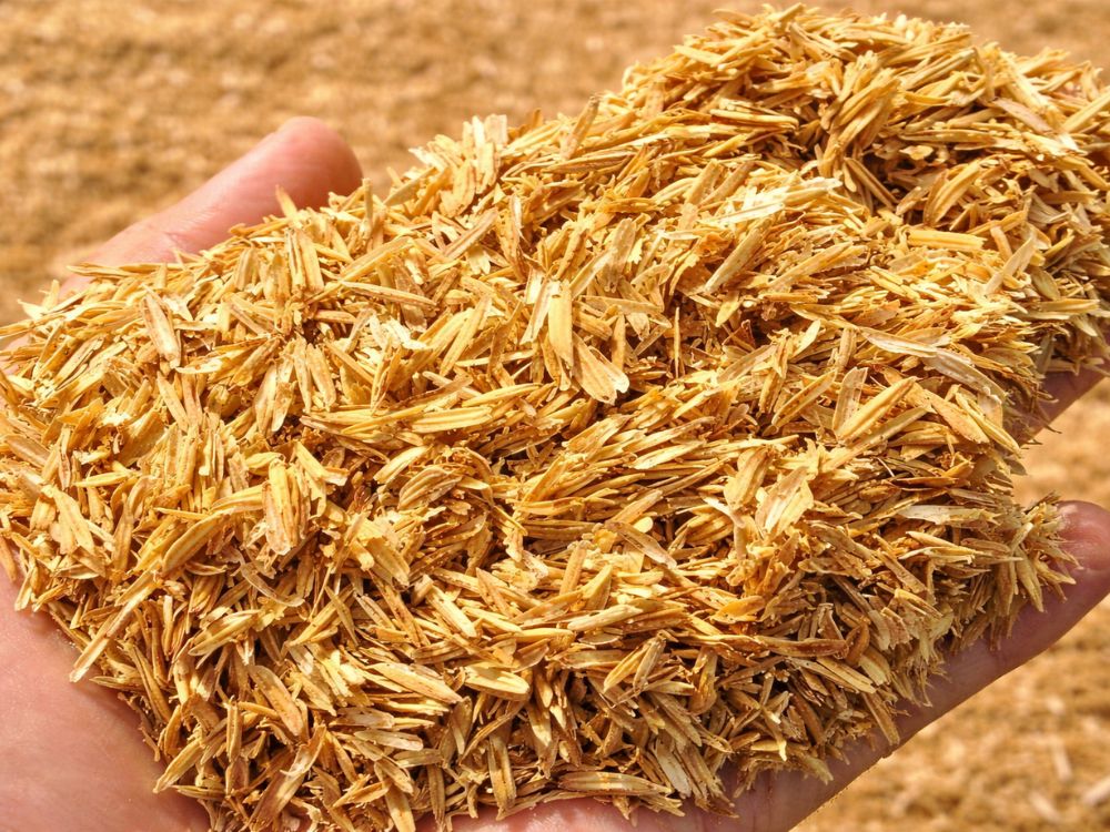 Trấu mịn góp phần nâng cao chất lượng chăm sóc và hiệu quả chăn nuôi