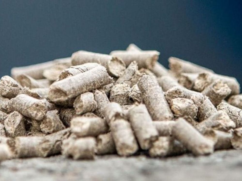 Ưu điểm và thách thức khi sử dụng trấu viên cho lò hơi quy mô lớn