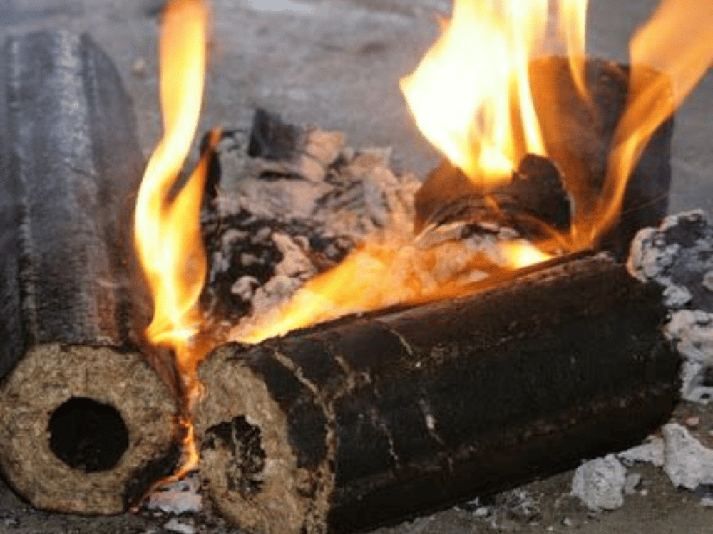 Củi trấu là gì?