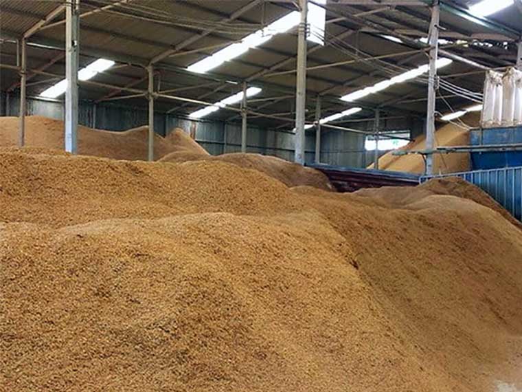 Cách ủ men vi sinh (tham khảo)