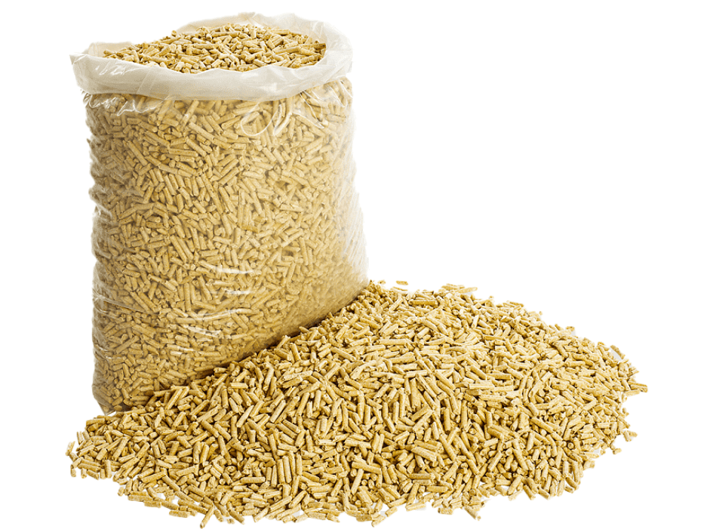 Sản xuất ethanol sinh học