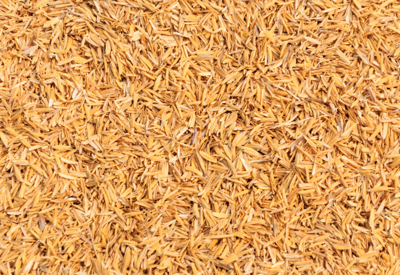 Góp phần giảm phát thải và bảo vệ môi trường