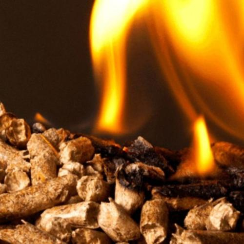 Vì Sao Sinh Khối Là Nhiên Liệu Sạch Hơn Than? Phân Tích Kỹ Thuật Và Môi Trường