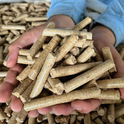 Vì Sao Doanh Nghiệp Nên Chuyển Sang Dùng Trấu Viên?