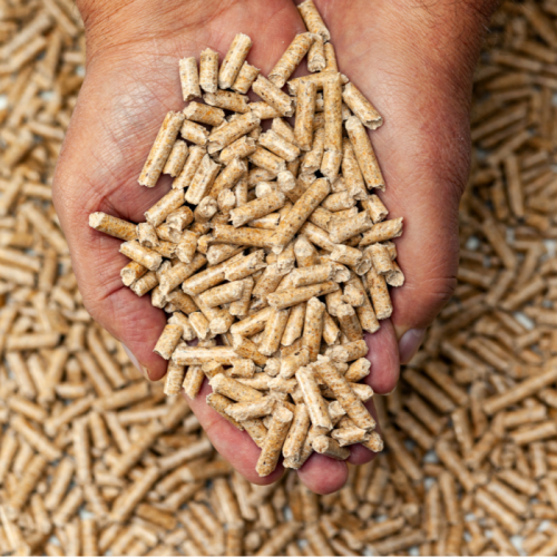 Trấu Viên Là Gì? Vì Sao Ngày Càng Được Ưa Chuộng?