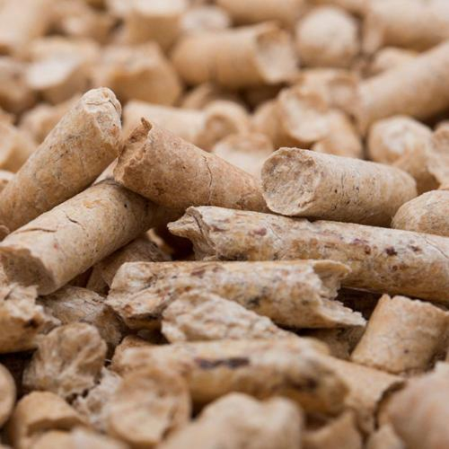 Trấu Viên Có Phù Hợp Cho Lò Hơi Công Suất Lớn Không?