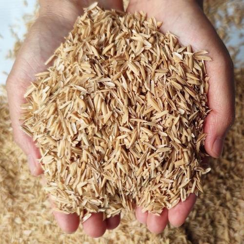 Trồng Rau Sạch Bằng Trấu, Giải Pháp An Toàn và Tiết Kiệm