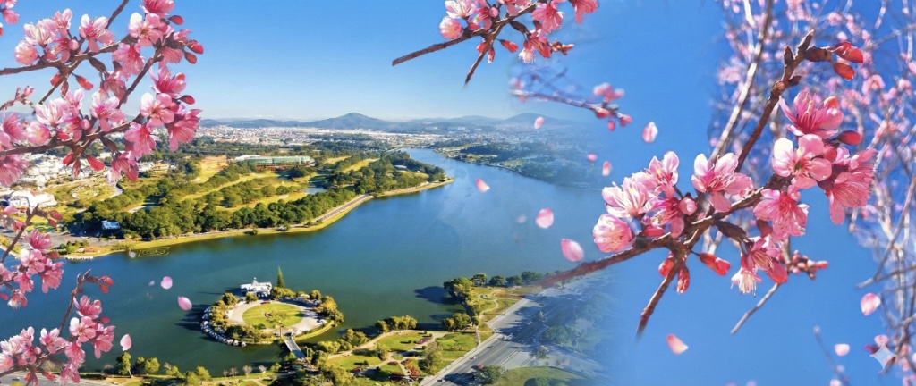 Dấu ấn xanh chào Xuân Bính Ngọ 2026